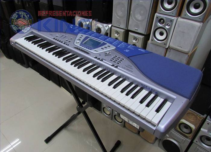 foto de ORGANO ELECTRONICO CASIO LK 350 IT